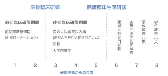 卒業教育の流れ